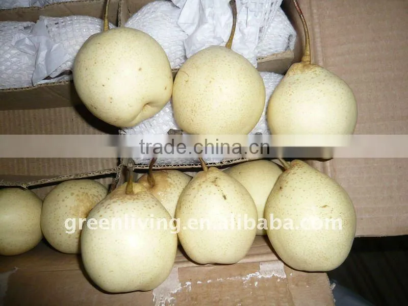Chinese YA Pear