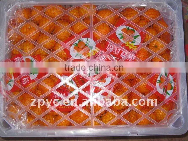Fresh Chinese baby mandarin