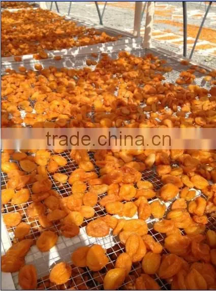 Dehydrated Red Bell Pepper Granules