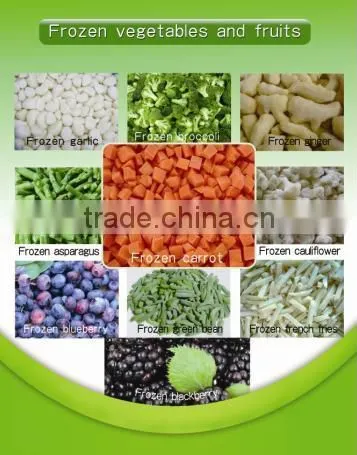 Frozen Lingonberry asian fruits best frozen fruit