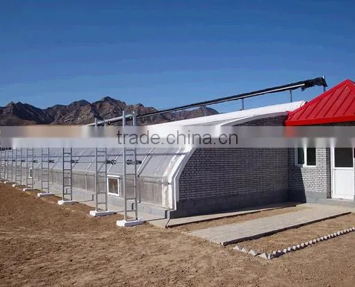hot galvanized pipe solar greenhouse