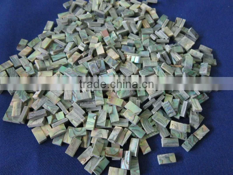 square cut thick abalone paua shell blank inlays