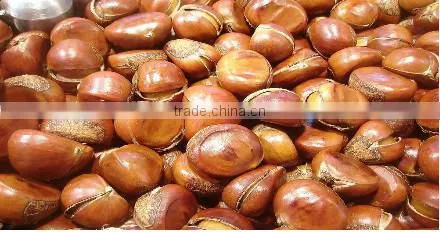 multi-function round type nuts roaster
