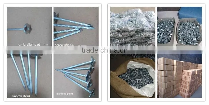 Low Price Galvanized Roofing Nails With Washer In Guangzhou Supplier