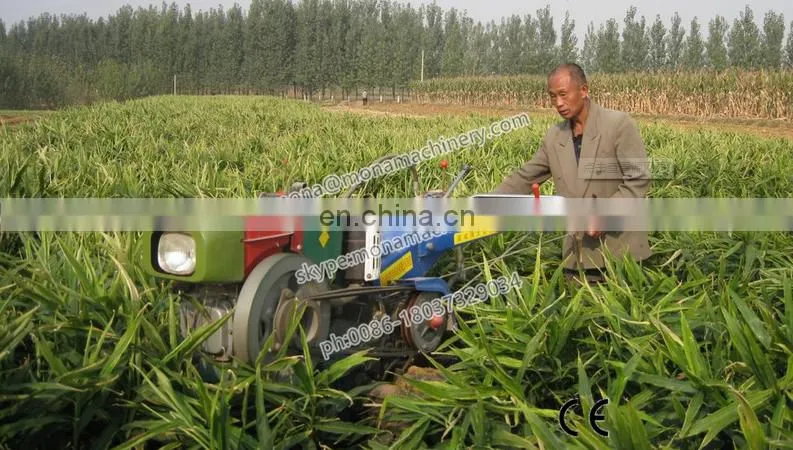Best Quality Ginger harvester/ ginger harvesting machine