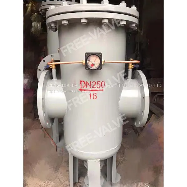 basket strainer 01