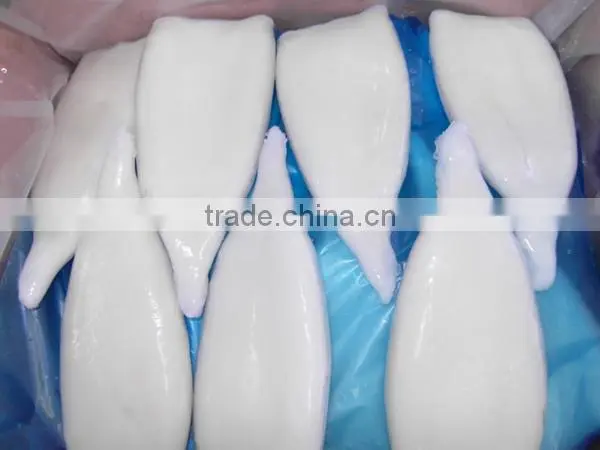 Hot sale Frozen squid tubes U7