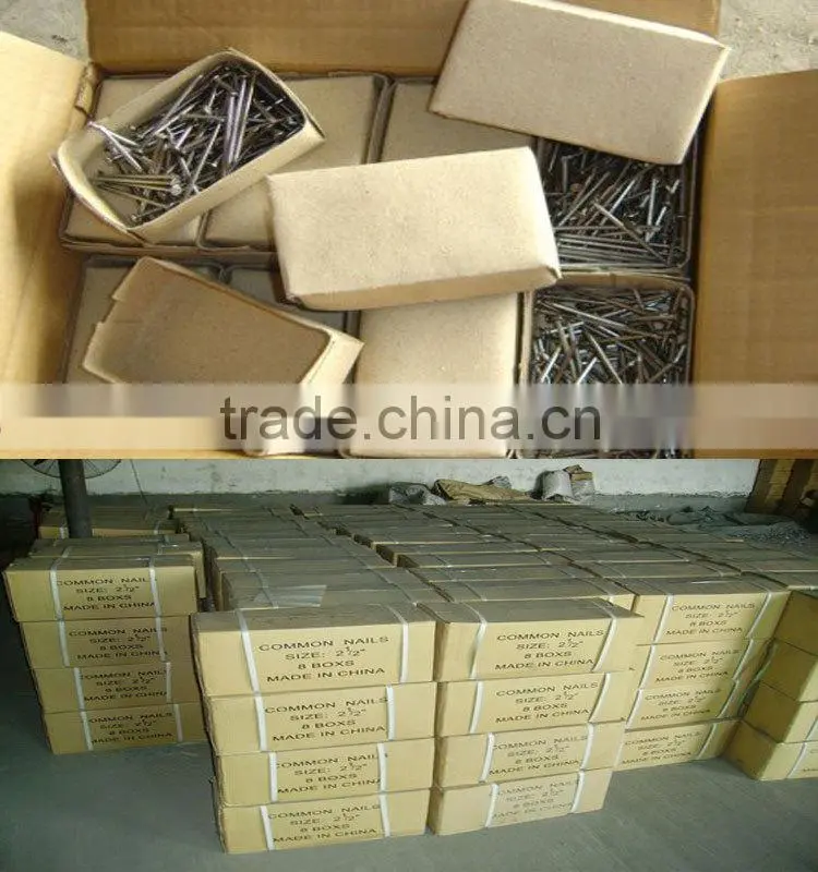 common nails for construction usage iron nails