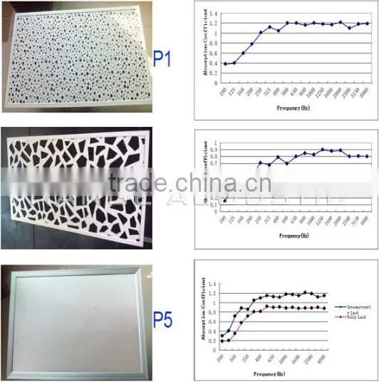 Gymnasium project acoustic ceiling panel