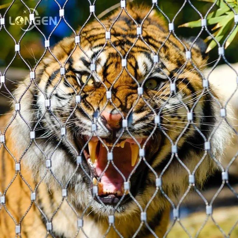 Zoo Tiger Enclosure Mesh
