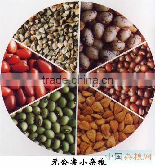 color sorting machines