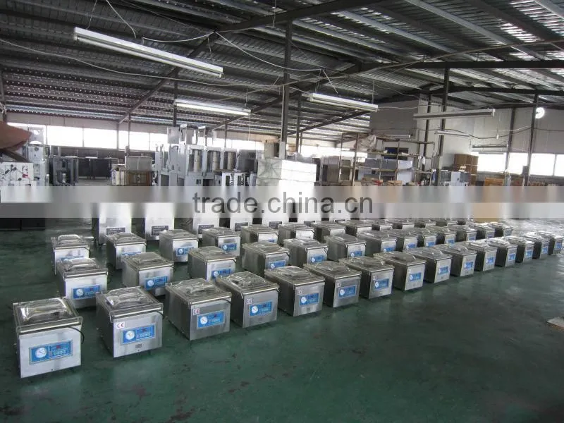 DZ-260 snack food vacuum packing machine