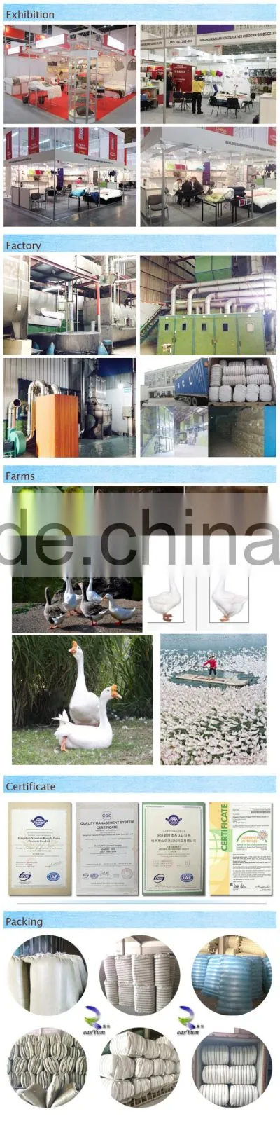 Wholesale cheap washed down and feathers gray duck down