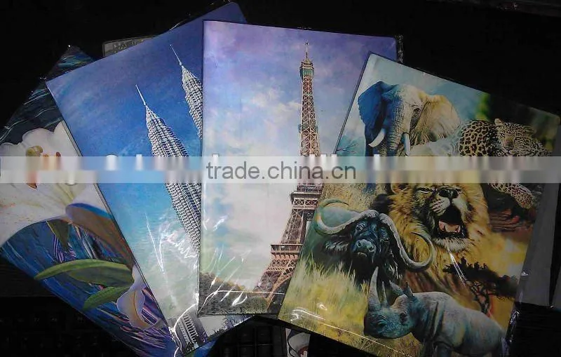 Lenticular 3D PP plastic file folder, PP Lenticular A4 file folder,for gifts and promotion