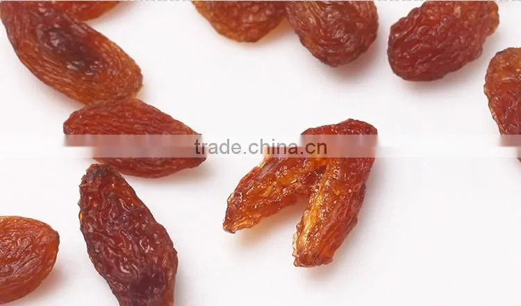 2015 new crop Best Quality Fruit Products Dried Golden Sweet Raisin