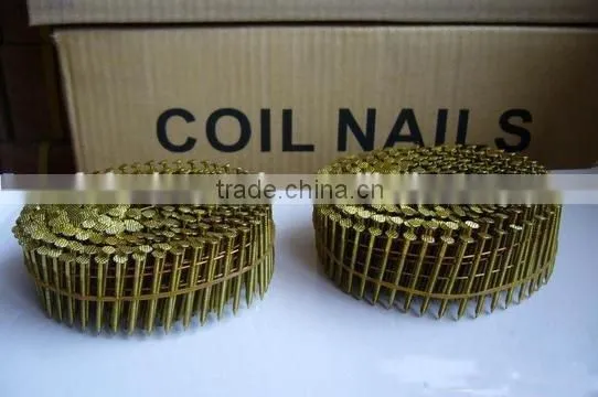 common nails / roofing nails / coil nail ( MANUFACTURER )