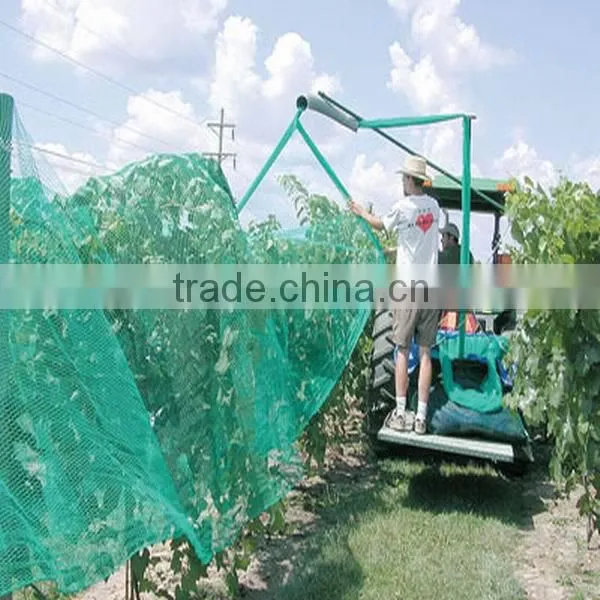 vineyard anti-bird net in plastic nets