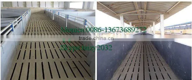 Bracket plastic animal floor for poultry rasing
