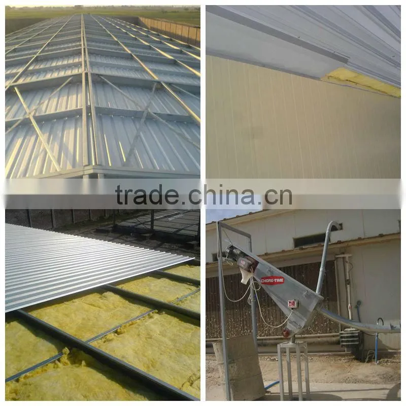 2014 steel chicken farm house with all automatic control equipments in Nigeria