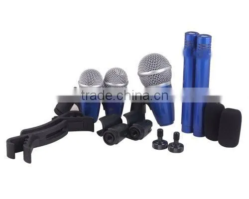 AR5E Professional Instrument Microphone