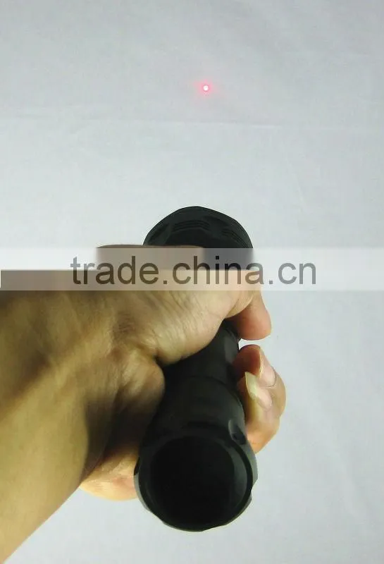 Flashlight Mini dvr Camera