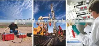 2016 New!!! Factory Price Proton Magnetometer With Software