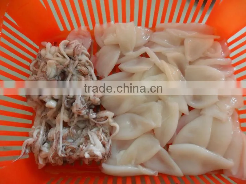 Frozen Squid T+T size 3/5 (Loligo Chinese)