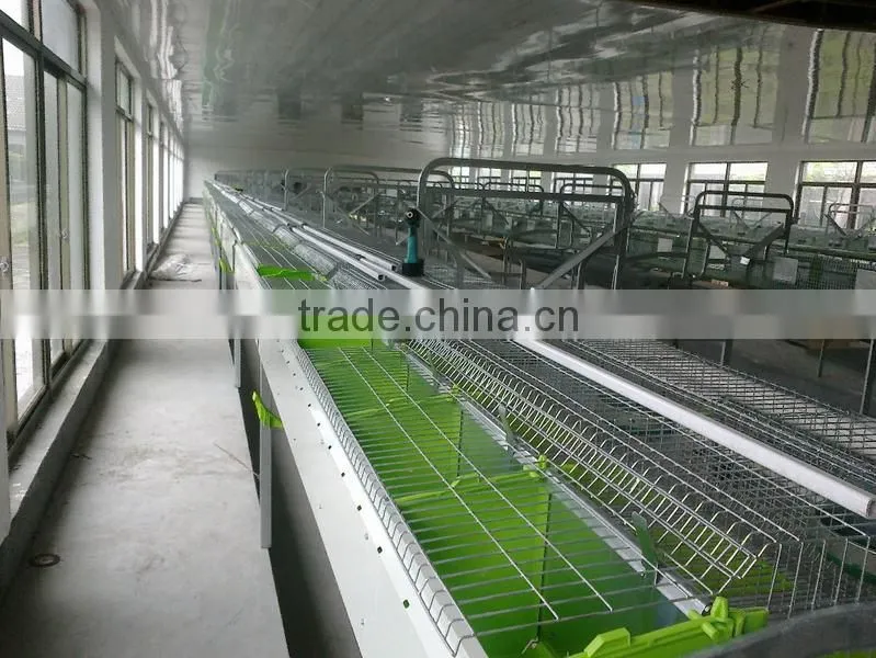 Automatic Rabbit Farming Equipment for Rex Rabbit