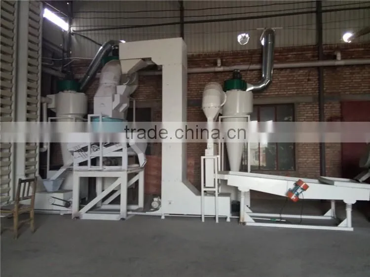 heilongjiang good quality of raw snow pumpkin seed factory sale to Iran market