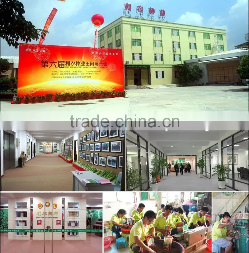 Linong seed seeds Agricultural products for service