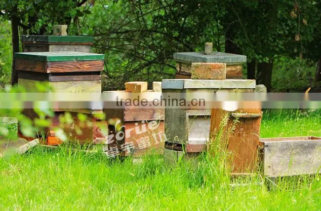 customized beekeeping equipment aluminum beehive