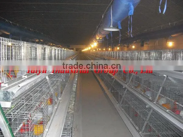 TAIYU Farm Broiler