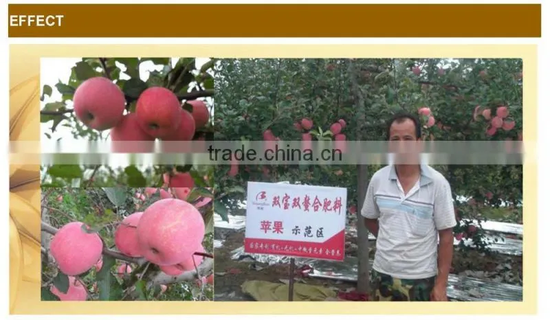 Organic-inorganic fertilizer