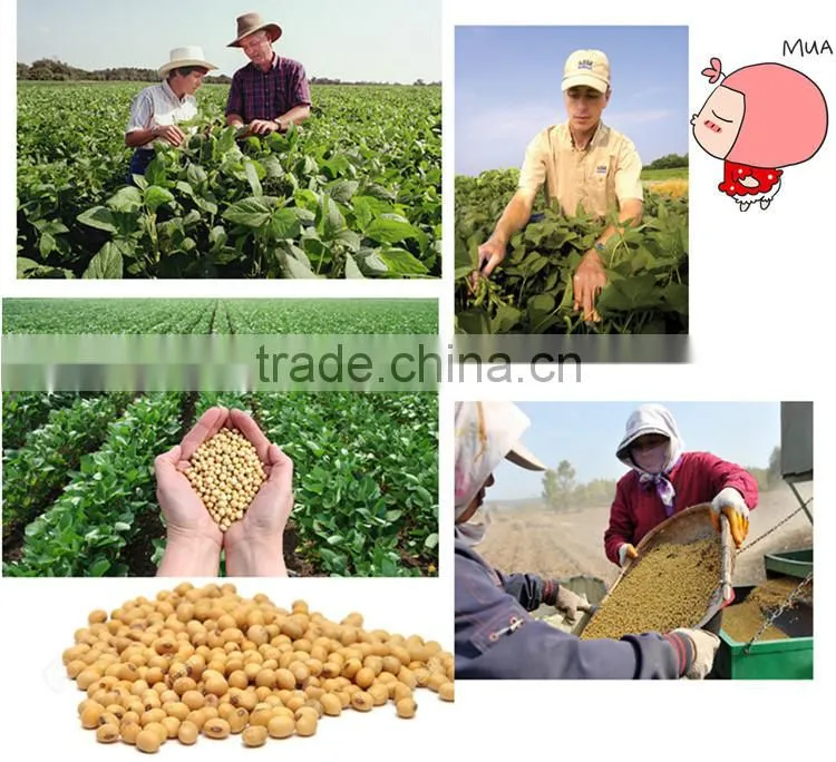 Neweek agricultural 300-400kg/h dry way soybean skin peeling machine