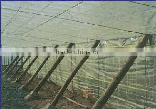 polyester wire PETwire
