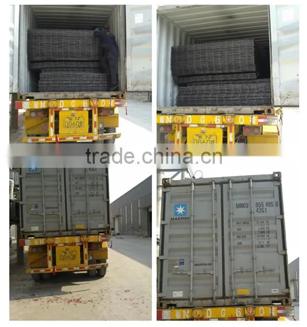 ISO9001 manufacturer chicken wire / heavy duty welded wire mesh panels
