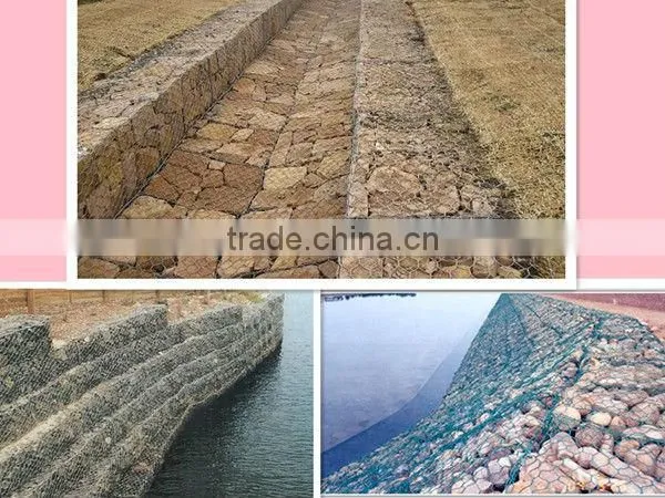 JT factory Hexagonal Chicken Wire Mesh / Galvanized Gabion Boxes