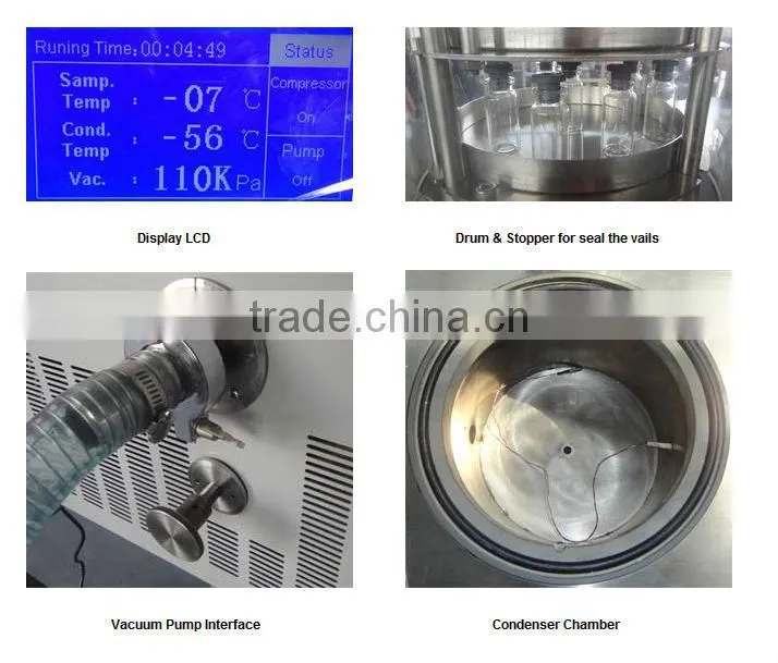 (KD) Lab Vacuum Freeze Dryer With Danfoss Compressor