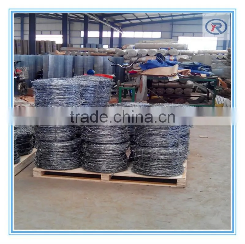China factory cheap barb wire fence.galvanized barbed wire fencing