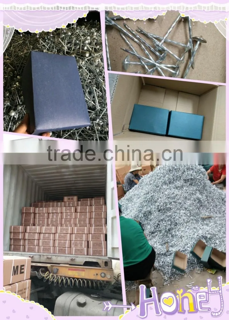 Hot-selling polished common nails / roofing nails / flat head nails