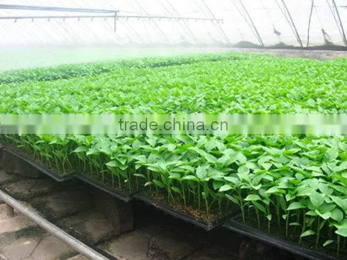 New coming high grade 392 cell rice seedling trays