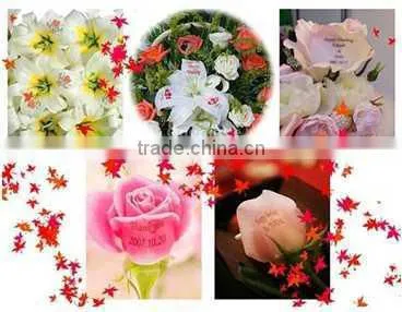 hot sale and low price and fast speed digital nail printer for beauty salon with computer