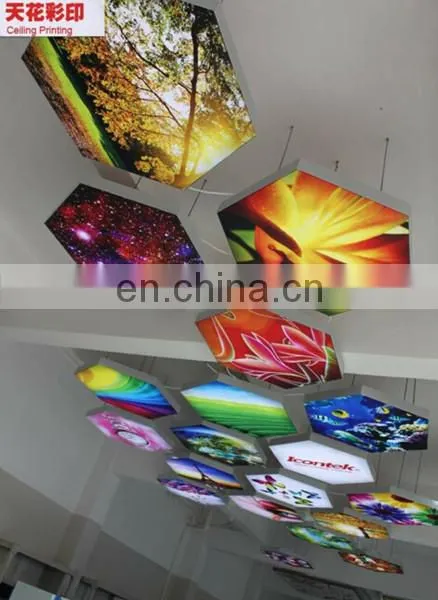 Ceiling uv printer / 2 meter size ceiling uv