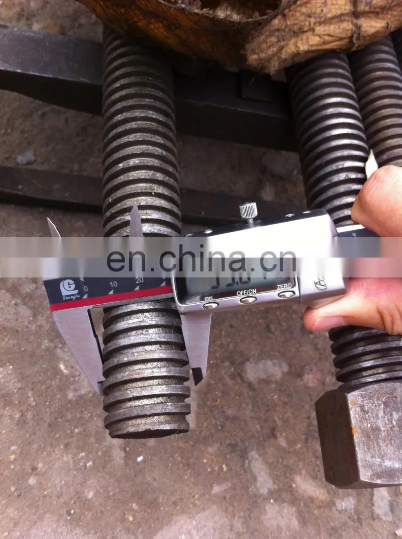 High quality Large size rolled screw thread round bar with nuts,screw bolt