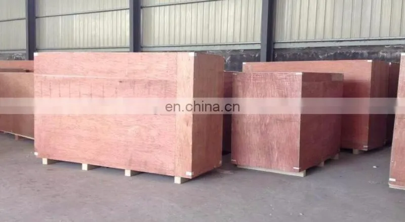 Industrial/commercial tunnel mango microwave dryer/drying machine/dehydrator