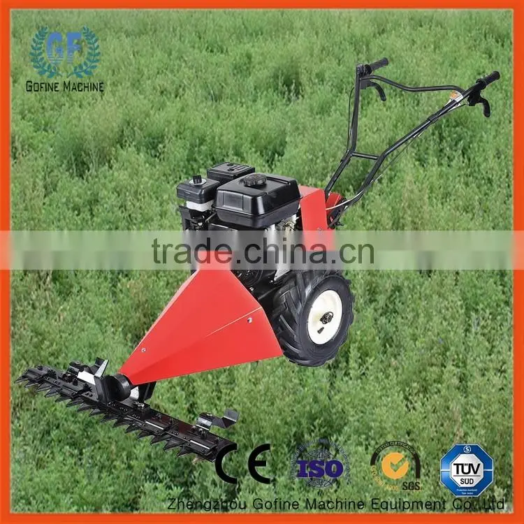 gasoline lawn mower