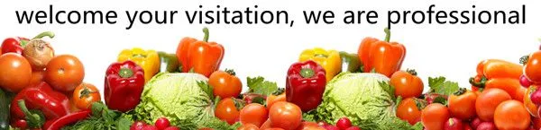 Apple Peach Pomegranate Mandarin Orange Avocado Pear Fruit Sorting Grading Machine Sizer Grader