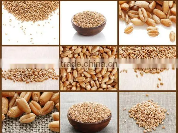 Double scales particles quantitative packing machine for salt