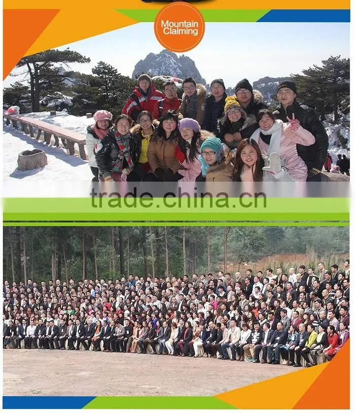 best price customized ndfeb/neodymium magnet professional supplier passed by ROHS, SGS, REACH