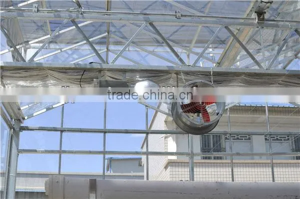 12M Wide Span Greenhouse